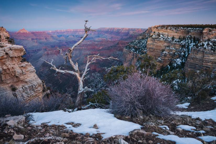 Photo - USA - Grand Canyon #43
